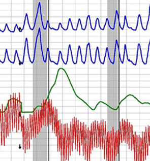 Houston lie detector test